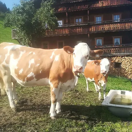 Vakantiehuis Fankhauser Hippach